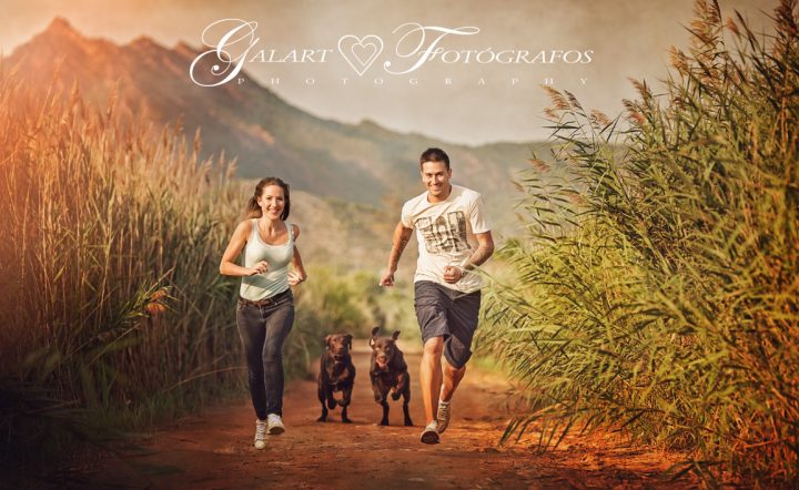 fotos de boda y preboda, galart fotógrafos